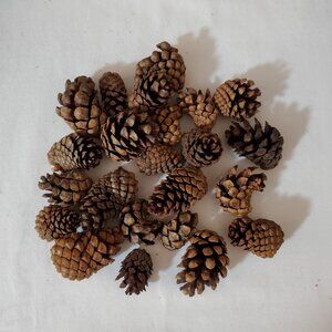 Natural Unscented Wooded Pinecones – Holiday Décor – Bag of (23) Pieces